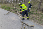 PXL_20250406_151448522